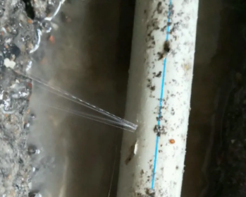 昔阳卫生间测漏水多少钱
